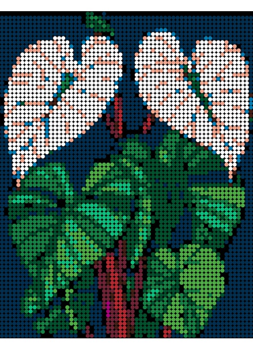 Color-by-number alocasia polly image