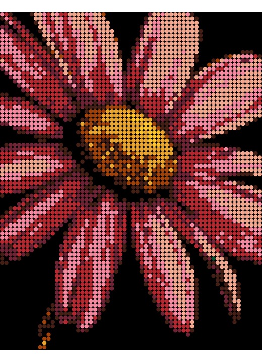 Color-by-number daisy image