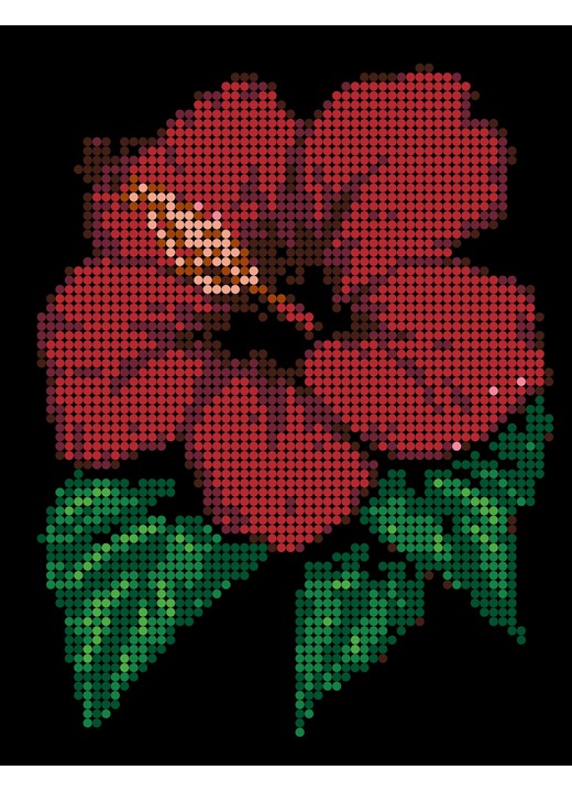 Color-by-number hibiscus image