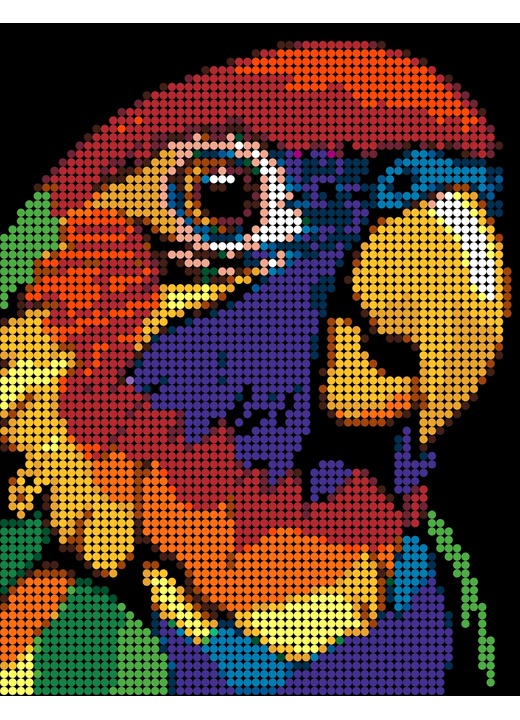 Color-by-number lorikeet image