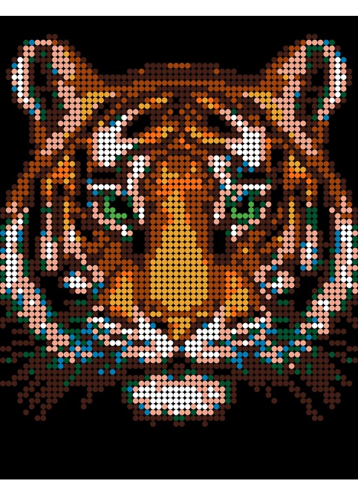 Color-by-number tiger image